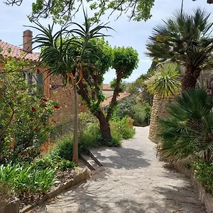 Bright 29m With Nice View In Appartement